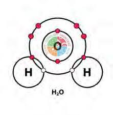 Covalent Bond in Water Model